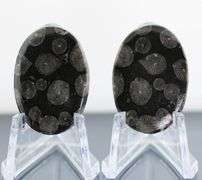 Stylish pair of 44.03ct Moroccan Black Coral