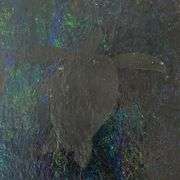 Untitled by Wyland Original