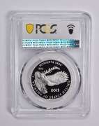 PR70 DCAM 2020-W $100 American Platinum Eagle Happiness 1 Oz PCGS