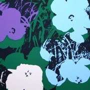 Flowers 11.64 by Warhol, Andy