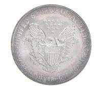 2004 American Silver Eagle - Appealing Tone