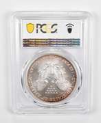 MS68 2005 American Silver Eagle - PCGS Insane Tone!