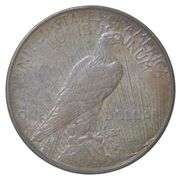 1923-D Peace Silver Dollar - Amazing Color