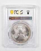 MS68 1999 American Silver Eagle - PCGS Insane Tone!