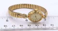 Group of 3 Timex Quartz Watches
