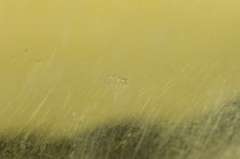 14K Yellow Gold Ornate Carved Chinese Jade Gardener Belt Buckle