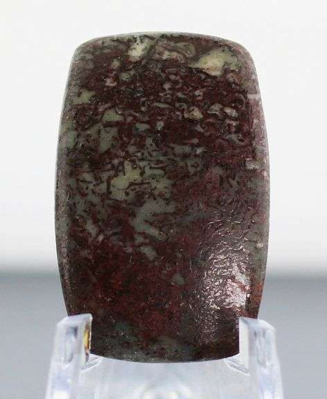 Awesome 18.65ct cabochon cut from dinosaur bone