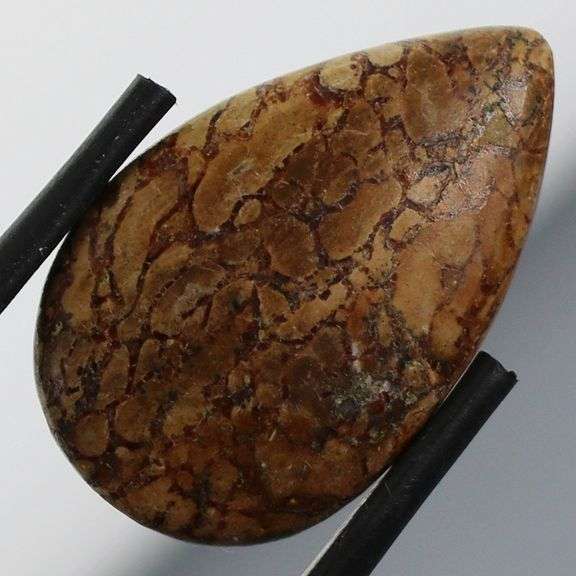 Excellent 8.19ct cabochon cut from dinosaur bone