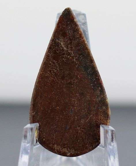 Marvelous 17.55ct cabochon cut from dinosaur bone
