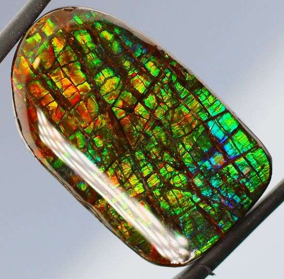Monumental! 28.42ct Dragon scale patterned rainbow Ammolite