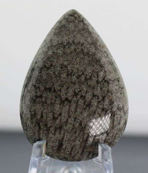 Attention grabbing 36.22ct cabochon cut from dinosaur bone