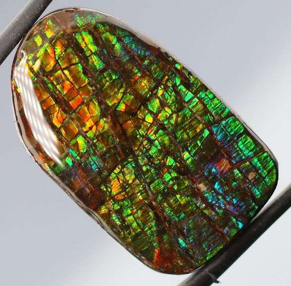 Monumental! 28.42ct Dragon scale patterned rainbow Ammolite