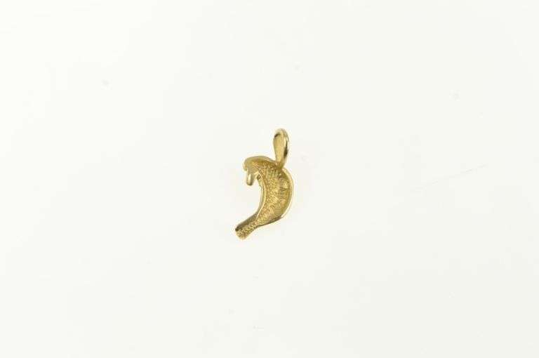 14K Yellow Gold Sea Lion Manatee Ocean Marine Mammal Charm/Pendant
