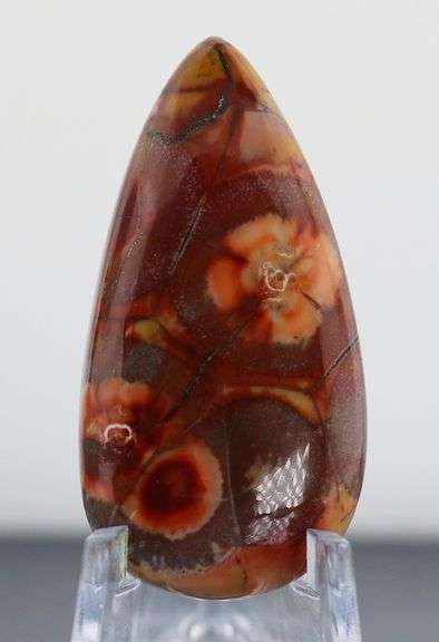 Stunning 39.93ct American Leopard Skin Jasper