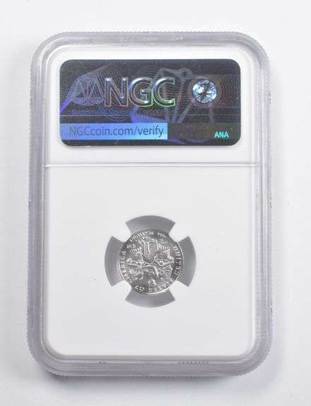 MS70 2006-W $10 American Burnished Platinum Eagle 1/10 Oz. Gold NGC