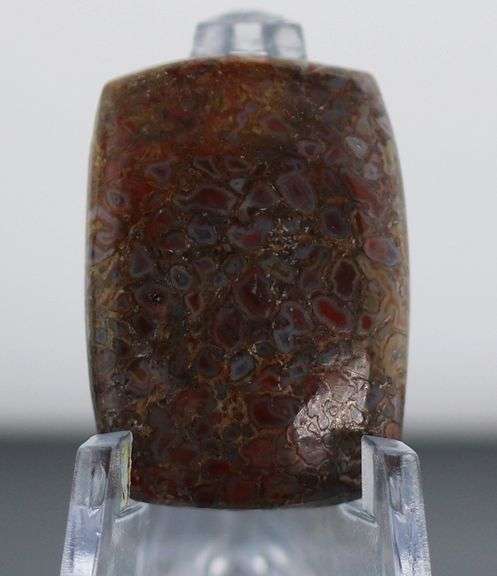 Excellent 22.95ct cabochon cut from dinosaur bone