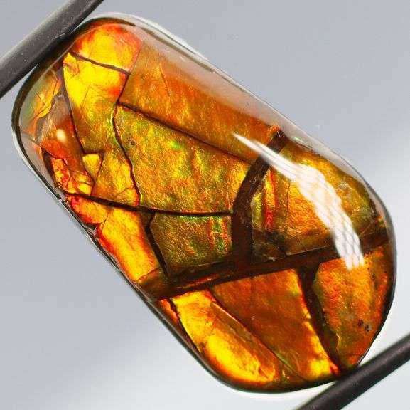 Outstanding 27.67ct full cover Ammolite Opal