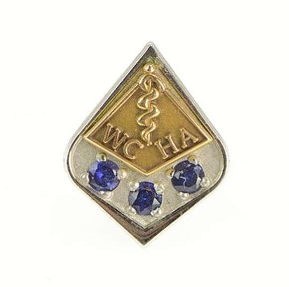 Gold Filled Western Collegiate Hockey Association Sapphire Pin/Brooch