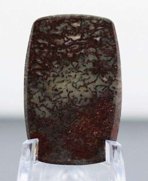 Awesome 18.65ct cabochon cut from dinosaur bone