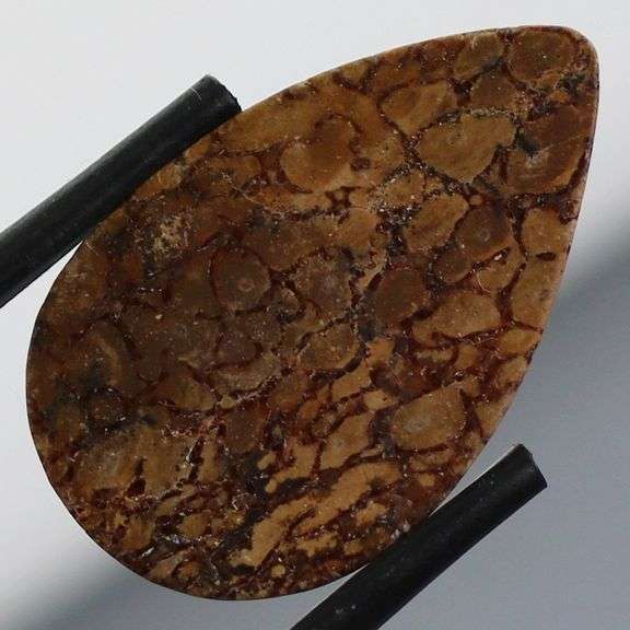 Excellent 8.19ct cabochon cut from dinosaur bone