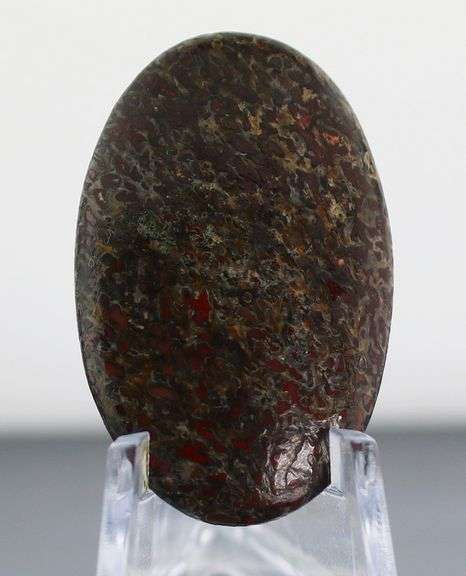 Marvelous 24.24ct cabochon cut from dinosaur bone