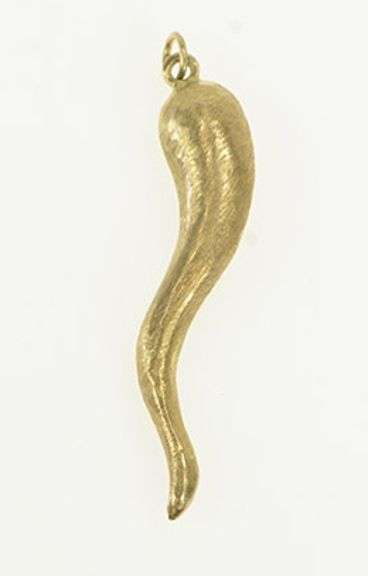 14K Yellow Gold Brushed Finish Italian Horn Protection Charm/Pendant
