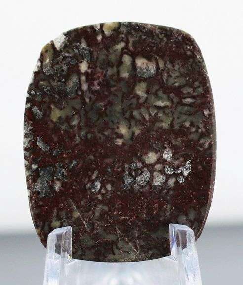 Really cool 32.77ct cabochon cut from dinosaur bone