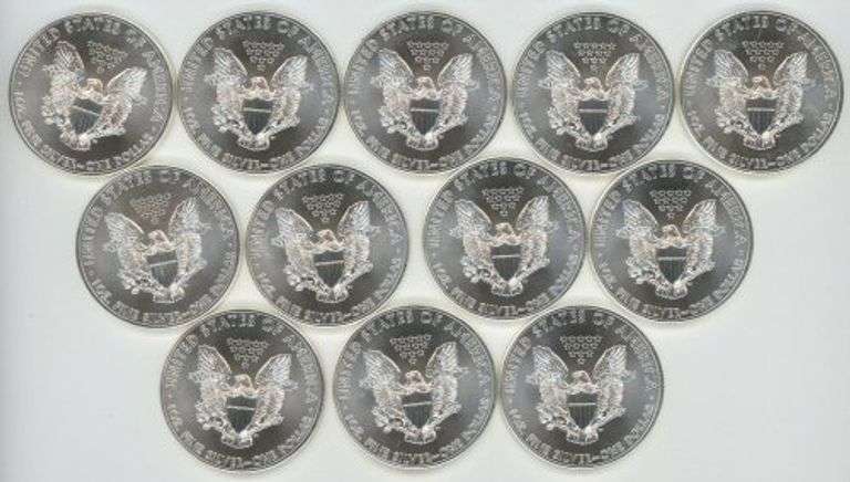 Tube with Twelve (12) Superb Gem BU 2014 $1 Silver Eagles