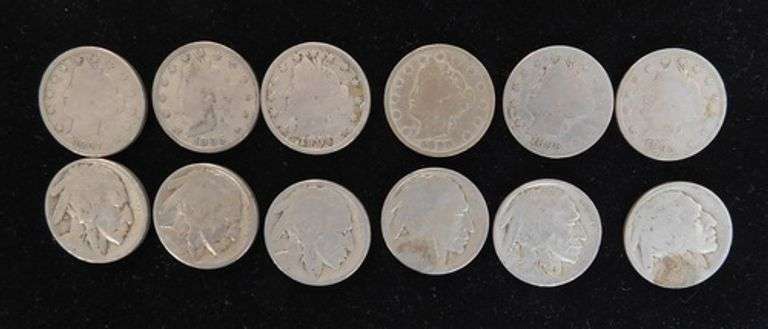 12 U.S. Buffalo & V Nickels