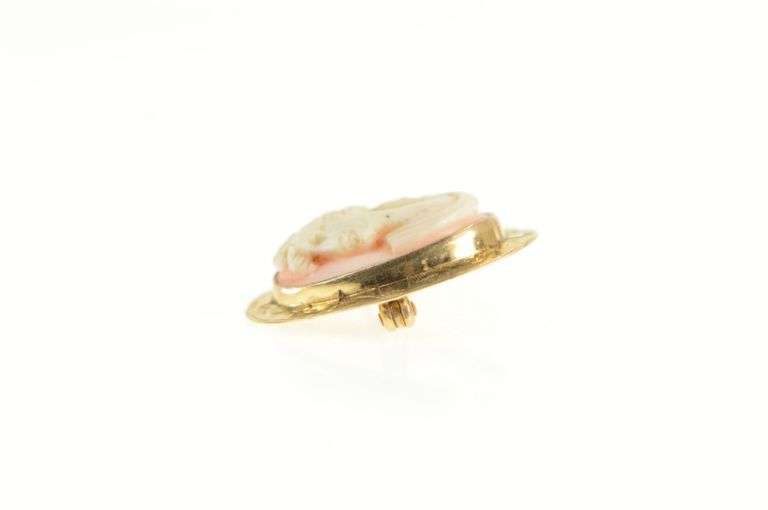 14K Yellow Gold Vintage Carved Coral Cameo Ornate Pin/Brooch