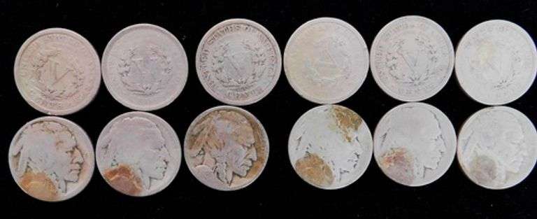 12 U.S. Nickels - Buffalo and V