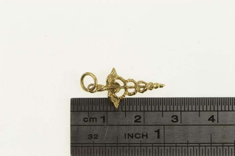 10K Yellow Gold Caduceus Health Medic Symbol Doctor RN Charm/Pendant