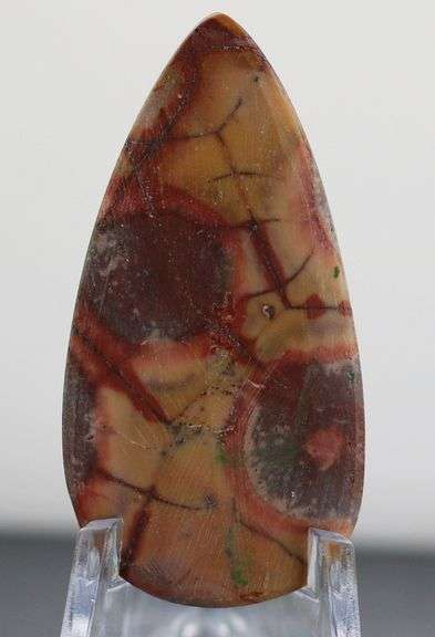 Stunning 39.93ct American Leopard Skin Jasper
