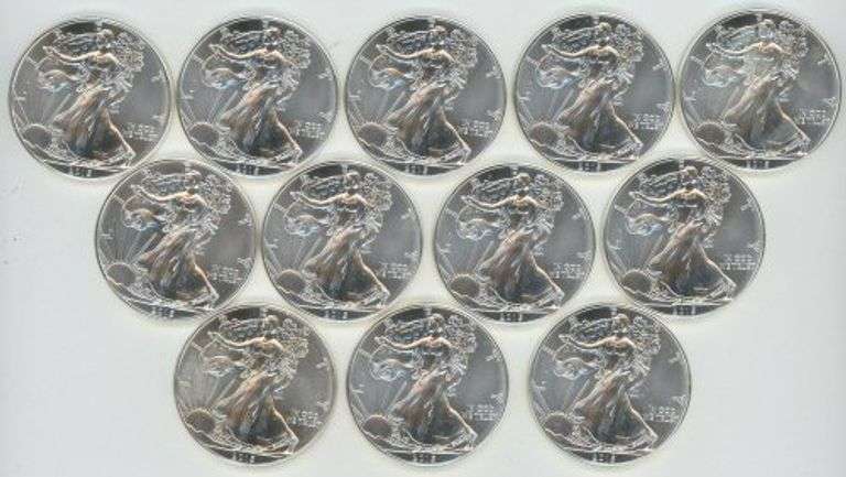 Tube with Twelve (12) Superb Gem BU 2015 $1 Silver Eagles