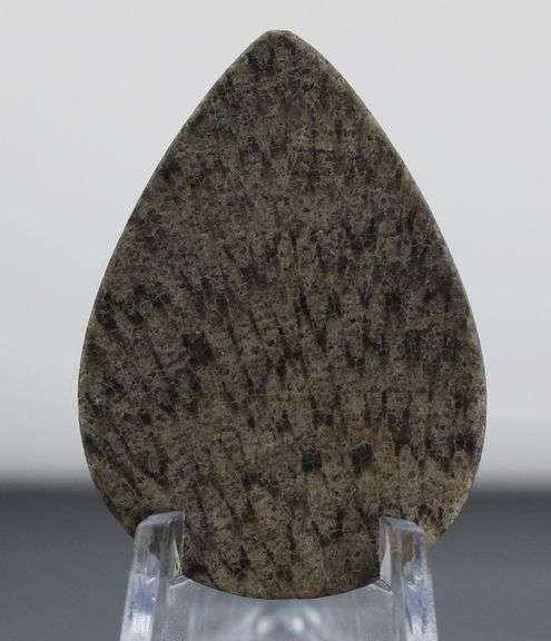 Attention grabbing 36.22ct cabochon cut from dinosaur bone