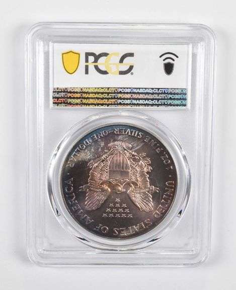 MS67 2004 American Silver Eagle - PCGS Beautiful Tone!