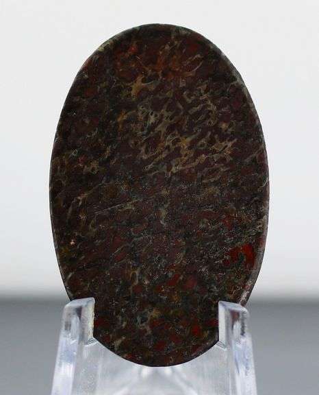 Marvelous 24.24ct cabochon cut from dinosaur bone