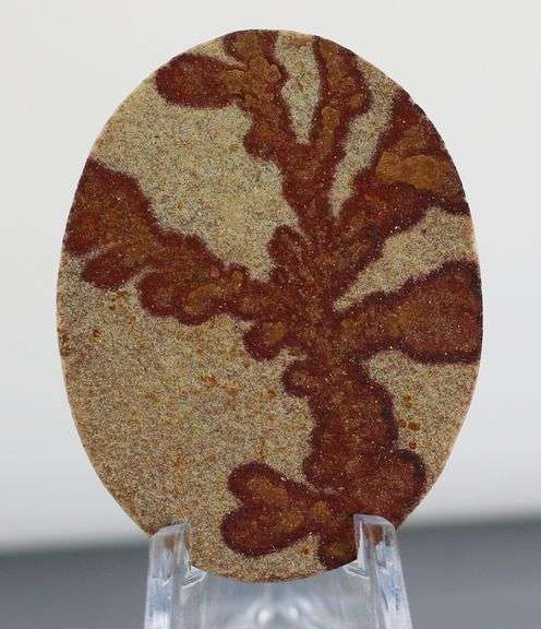 Collectors 66.39ct German Psilomelane Dendrite