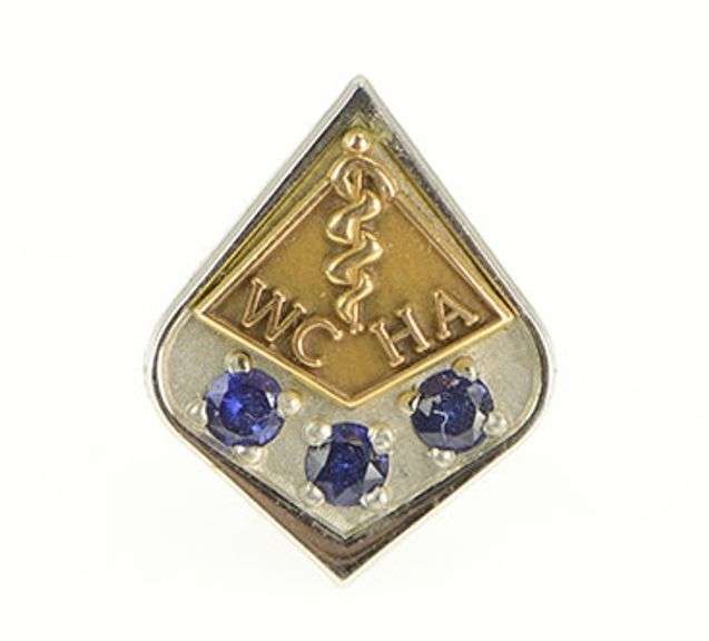Gold Filled Western Collegiate Hockey Association Sapphire Pin/Brooch