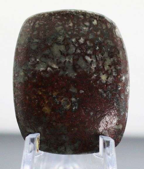 Really cool 32.77ct cabochon cut from dinosaur bone