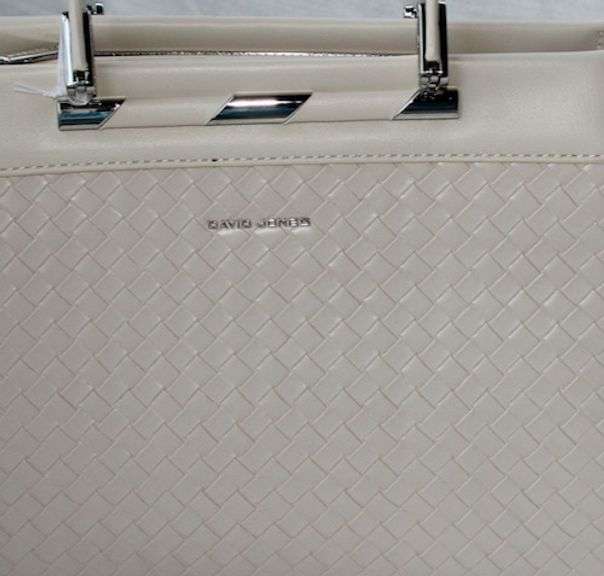 Stylish Designer Bag By David Jones-Paris
