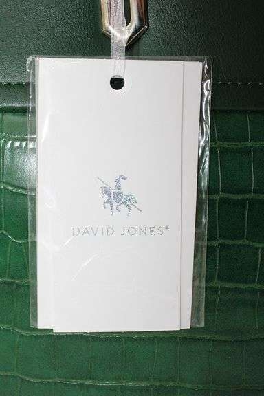 Eye Catching Designer Bag By David Jones-Paris