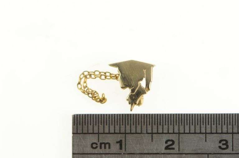 10K Yellow Gold Graduation Cap Graduate Scholar Lapel Pin/Brooch