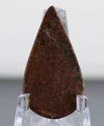Marvelous 17.55ct cabochon cut from dinosaur bone