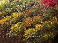 VERY NICE BEAUTIFUL PAINTING ON CANVAS