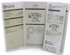 Gabriel & Co.GIA Certified  0.97ctw Round Diamond Halo Milgrain Engagement Ring in 14K