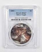 MS67 2001 American Silver Eagle - PCGS Beautiful Tone!