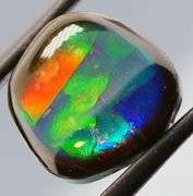 Full spectrum flashing 12.42ct rainbow Ammolite
