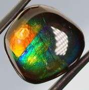 Full spectrum flashing 12.42ct rainbow Ammolite