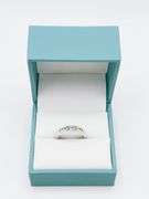 14kt Solid White Gold & Diamond Band
